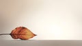 Autumn minimal banner with autumn yellow alder leaf with natural texture on beige background, copy space. Generative ai