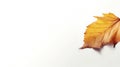 Autumn minimal banner with autumn yellow alder leaf with natural texture on beige background, copy space. Generative ai