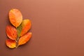 Autumn Minimal Composition With Fresh Orange Leaves