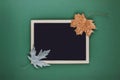 Autumn minimal flat lat, mockup, composition. Black blank frame chalk board and golden silver metallic dry maple leaves on green Royalty Free Stock Photo