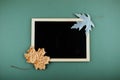 Autumn minimal flat lat, mockup, composition. Black blank frame chalk board and golden silver metallic dry maple leaves on green Royalty Free Stock Photo