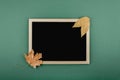 Autumn minimal flat lat, mockup, composition. Black blank frame chalk board and golden silver metallic dry maple leaves on green Royalty Free Stock Photo