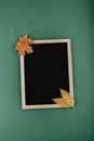 Autumn minimal flat lat, mockup, composition. Black blank frame chalk board and golden silver metallic dry maple leaves on green Royalty Free Stock Photo