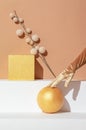 Autumn minimalistic scene, Hand in golden gloves, decor cube, ball and dry brunch in styish beige geometry space. Seasonal fall