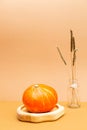 Autumn minimalistic still life with pumpkin and dried field spikelets.