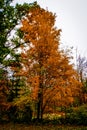 Autumn in Minnesota