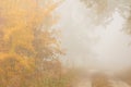Autumn mist Royalty Free Stock Photo