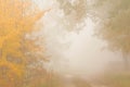 Autumn mist Royalty Free Stock Photo