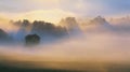 Autumn Mist Royalty Free Stock Photo