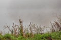 An Autumn mist obscures Wier Wood Resevior England Royalty Free Stock Photo