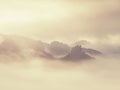 Autumn misty landscape. High trees and hill peaks in mist Royalty Free Stock Photo
