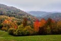 Autumn misty forest with colorful trees. Mountain landscape. Royalty Free Stock Photo