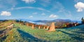 Autumn misty morning mountain panorama