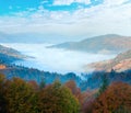 Autumn misty morning mountain valley Carpathian Mountains, Ukraine Royalty Free Stock Photo