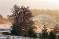 Autumn misty morning mountain view