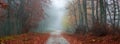 Autumn misty path panorama Royalty Free Stock Photo