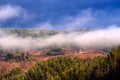 Autumn misty scene in Romania , beautiful landscape of wild Carpathian mountains Royalty Free Stock Photo