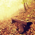 The autumn misty and sunny daybreak at beech forest, old abandoned bench below trees. Fog between beech branches without leaves. Royalty Free Stock Photo