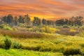 autumn mixed forest of oaks lake Royalty Free Stock Photo