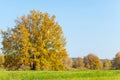 autumn mixed forest of oaks lake Royalty Free Stock Photo