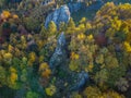 Autumn in a mixed forest, Poland.