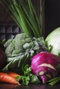 Autumn mixed vegetables, healthy eating concept, still life on a dark background, selective focus Royalty Free Stock Photo