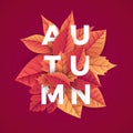 Autumn modern background template with lettering