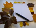 Autumn moments in your notebook