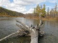 Autumn in Mongolia