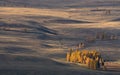 Autumn Mongolian landscape: high-altitude steppe with small groves of larch, illuminated by the sun. Roads in the steppe. Western