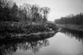 Autumn monochrome landscape