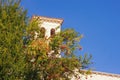 Autumn. Montenegro, Herceg Novi city. Branch of pomegranate tree with ripe fruits