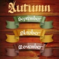 Autumn months September October November