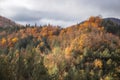 Autumn in the Montseny Natural Park, Catalonia