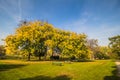 Augarten Park in Fall, Vienna, Austria