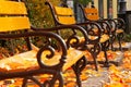 Autumn mood with benches Royalty Free Stock Photo