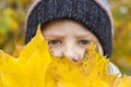 Autumn mood. The boy is holding yellow maple leaves that cover part of his face so that only his eyes are visible