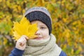 Autumn mood. The boy is holding yellow maple leaves that cover part of his face so that only one eye is visible