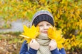 Autumn mood. A boy holds yellow maple leaves in his hands. Autumn portrait of a child in a knitted hat. Sight. Cute smiling boy Royalty Free Stock Photo