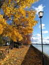 Promenade By Drava River In Autumn In Ptuj, Slovenia