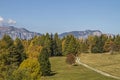 Autumn mood in Trentino Royalty Free Stock Photo