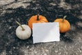 Autumn moody stationery composition. Mockup scene with blank invitation, business card. Little white, orange pumpkins on