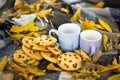 Autumn moody style background. Two mugs with hot coffee, tasty cookies with raisins, on cozy blanket outdoor on fallen