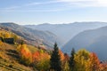 Autumn morning in the Apuseni mountains, Romania