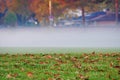 Autumn morning fog in the city. Royalty Free Stock Photo