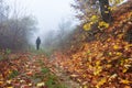 Autumn morning fog. A man walks along a path covered with fallen autumn leaves Royalty Free Stock Photo