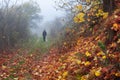 Autumn morning fog. A man walks along a path covered with fallen autumn leaves Royalty Free Stock Photo