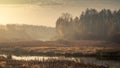 Autumn morning foggy landscape. sad view of an overgrown narrow stream in a marshy area with a coastal lush dry reed and light Royalty Free Stock Photo