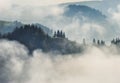 Autumn morning. foggy sunrise in the Carpathian mountains Royalty Free Stock Photo