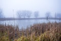 Autumn morning at a forest lake with fog and beautiful warm colors Royalty Free Stock Photo